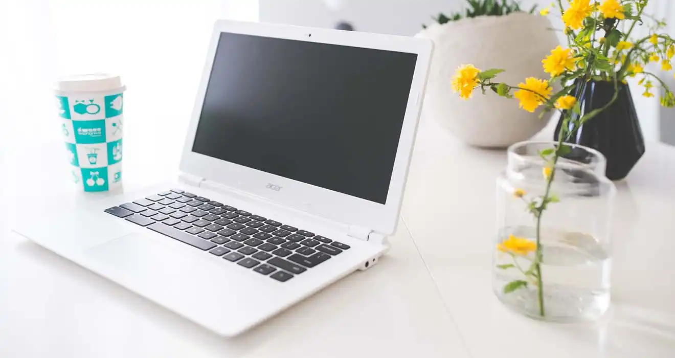 Ремонт ноутбуков Acer в Орехово-Зуево